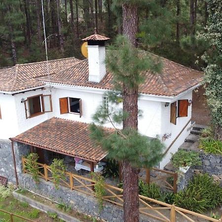 Floral Garden House Βίλα Icod De Los Vinos Εξωτερικό φωτογραφία
