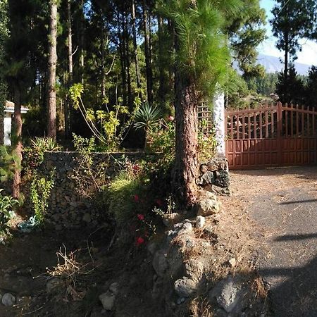Floral Garden House Βίλα Icod De Los Vinos Εξωτερικό φωτογραφία
