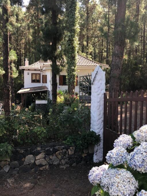 Floral Garden House Βίλα Icod De Los Vinos Εξωτερικό φωτογραφία