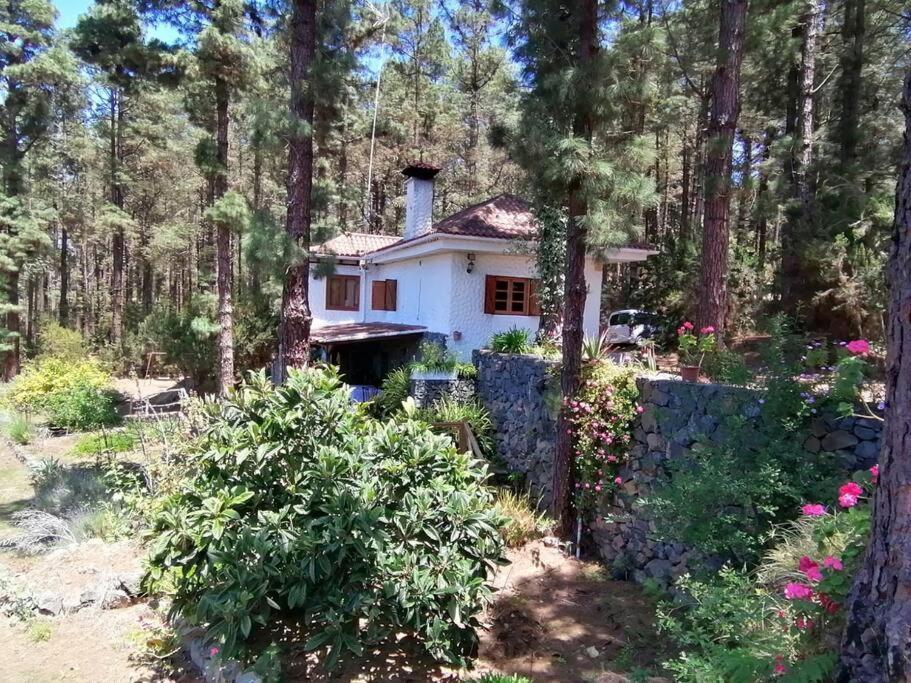 Floral Garden House Βίλα Icod De Los Vinos Εξωτερικό φωτογραφία