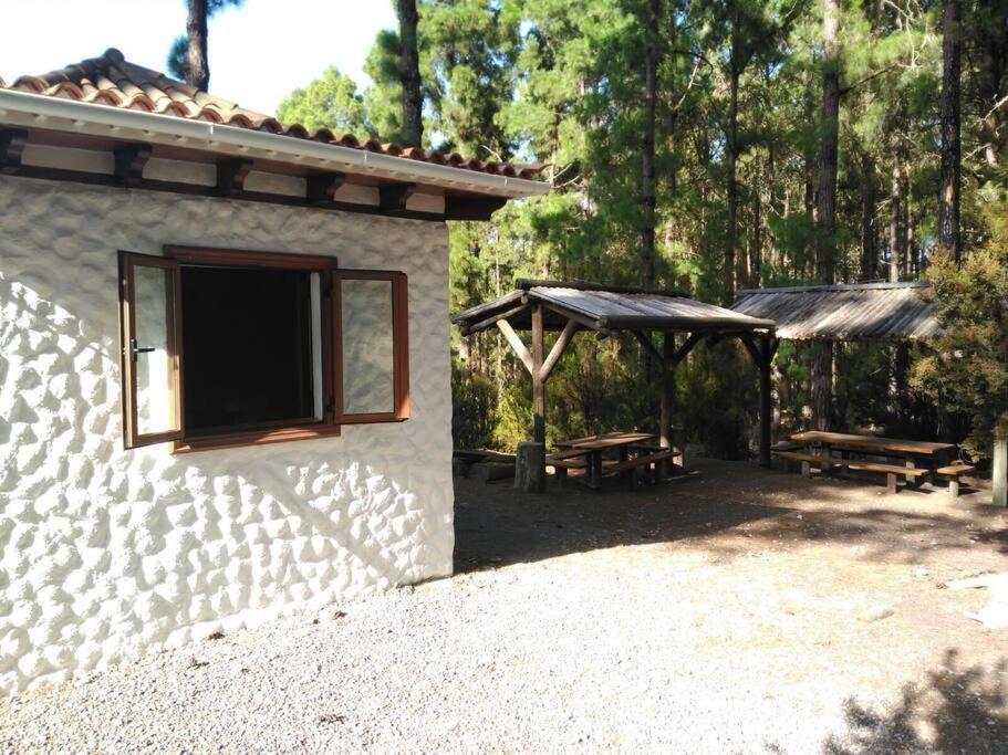 Floral Garden House Βίλα Icod De Los Vinos Εξωτερικό φωτογραφία