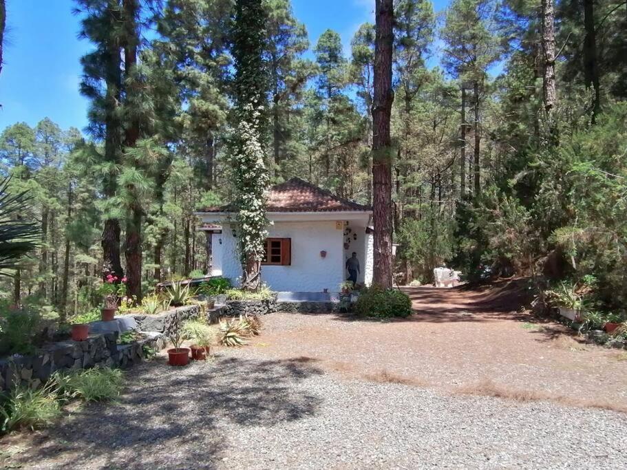 Floral Garden House Βίλα Icod De Los Vinos Εξωτερικό φωτογραφία