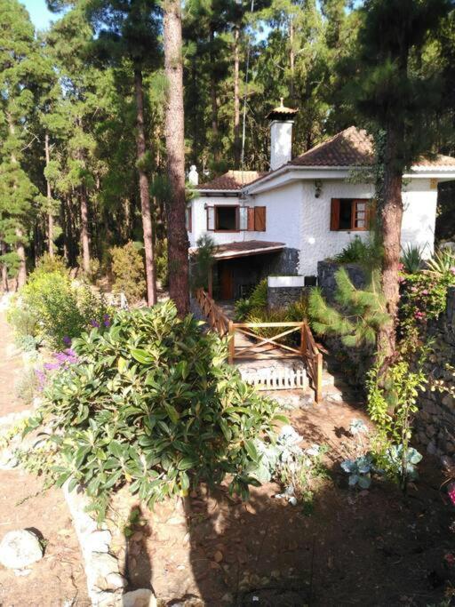 Floral Garden House Βίλα Icod De Los Vinos Εξωτερικό φωτογραφία