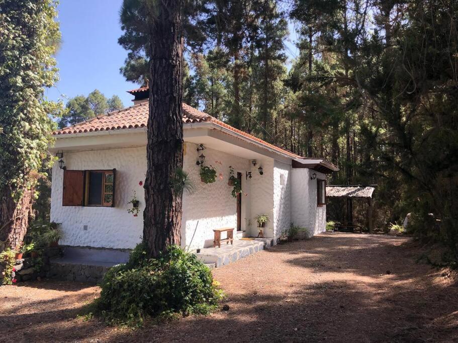 Floral Garden House Βίλα Icod De Los Vinos Εξωτερικό φωτογραφία