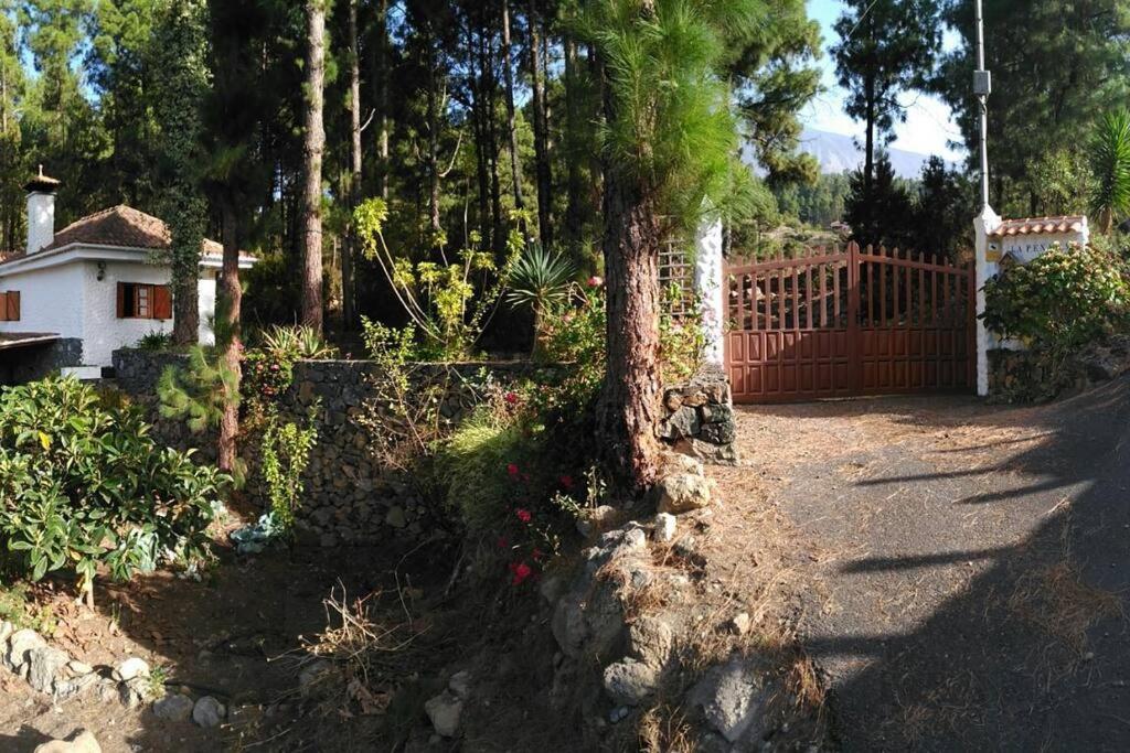 Floral Garden House Βίλα Icod De Los Vinos Εξωτερικό φωτογραφία