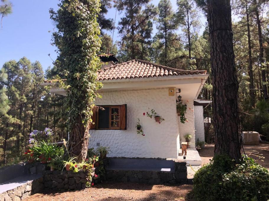 Floral Garden House Βίλα Icod De Los Vinos Εξωτερικό φωτογραφία